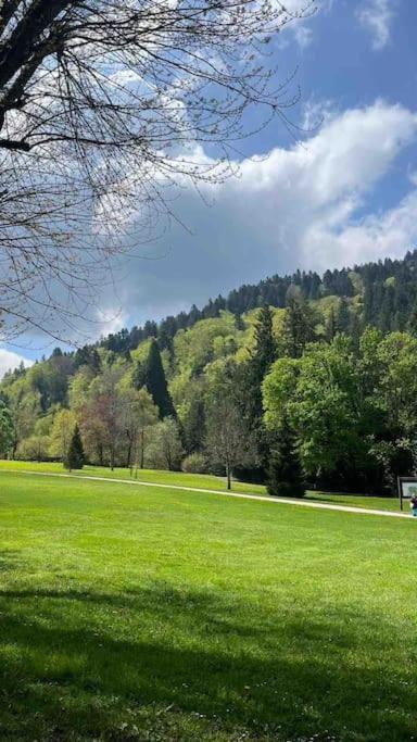Appt Lumineux, Thermes Et Montagne La Bourboule Exterior foto
