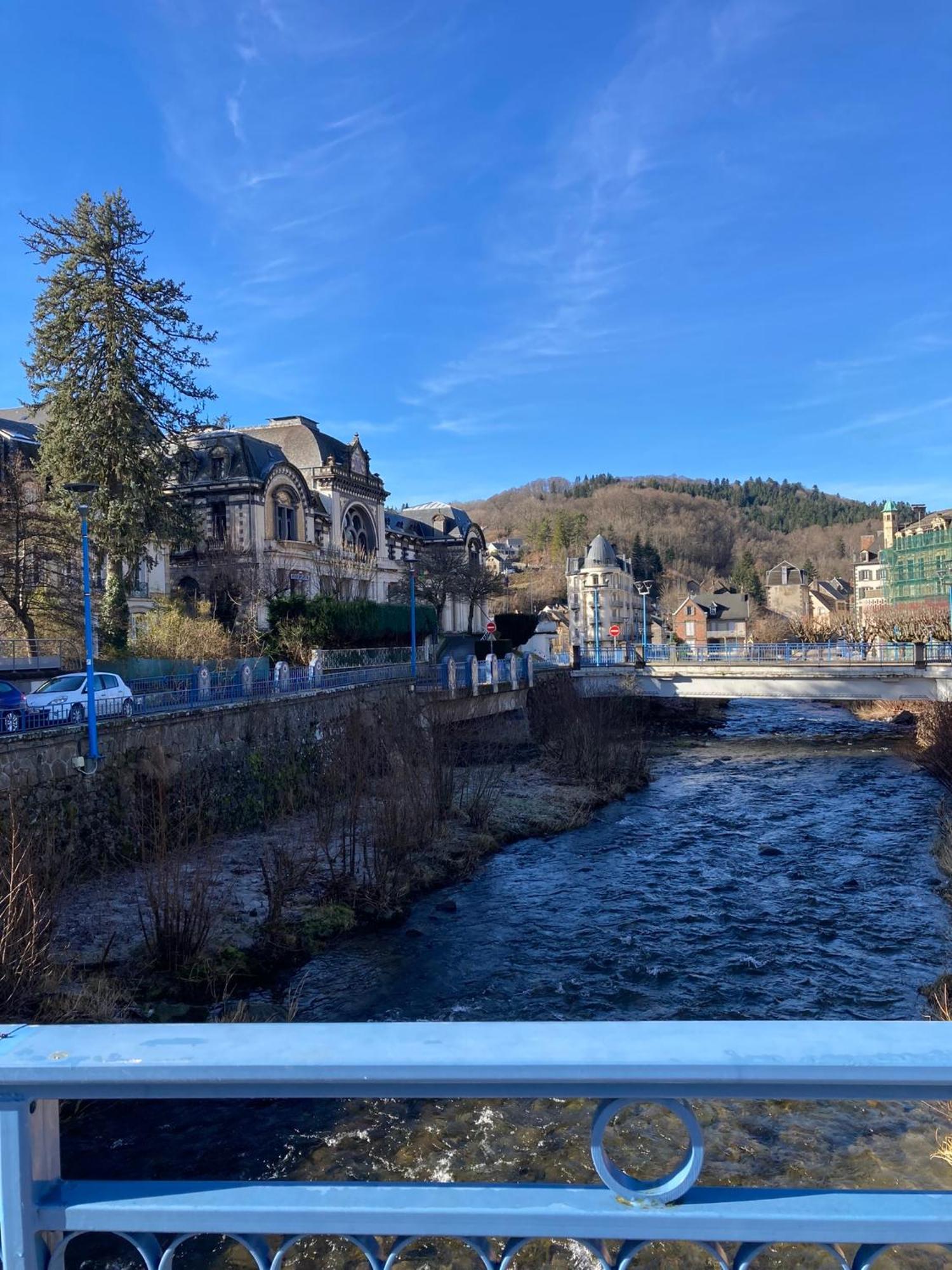Appt Lumineux, Thermes Et Montagne La Bourboule Exterior foto